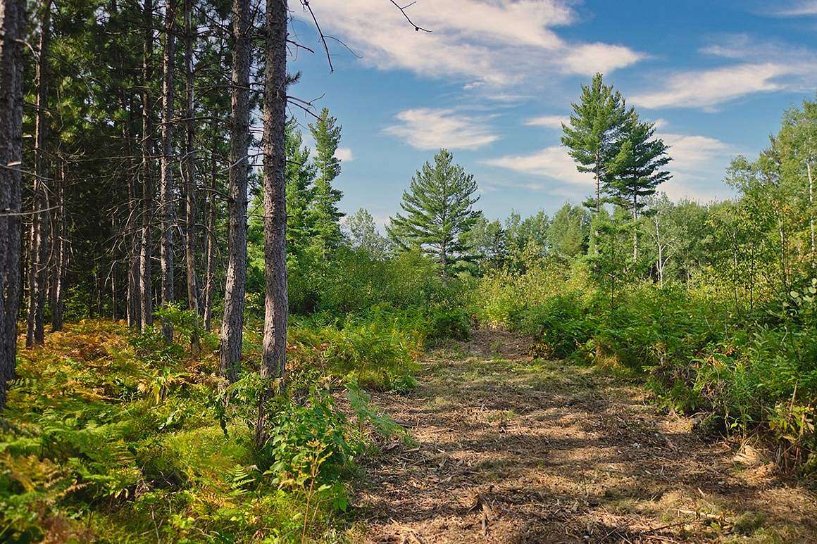 8.38 Acres of Land for Sale in Tomahawk, Wisconsin