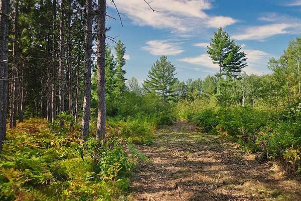 8.38 Acres of Land for Sale in Tomahawk, Wisconsin