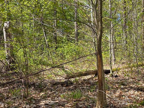52 Acres of Recreational Land for Sale in Brookfield, New York