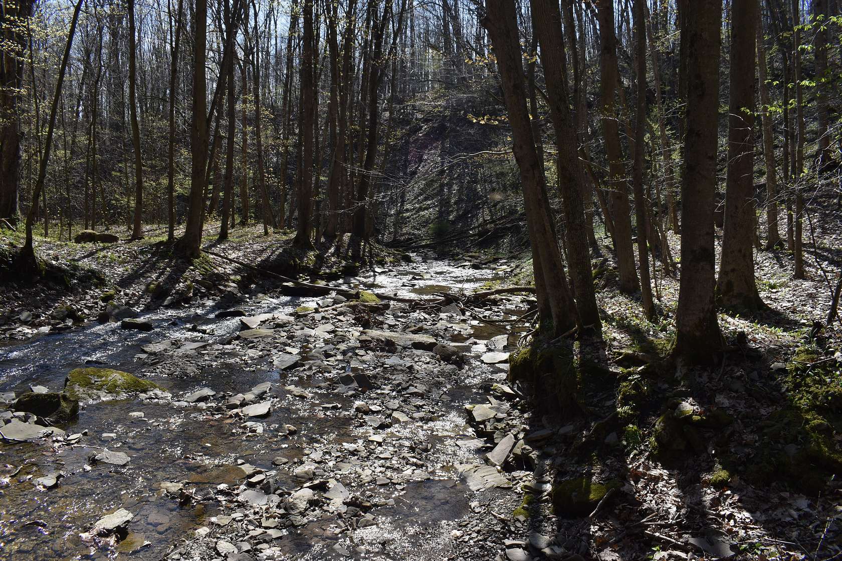 19.5 Acres of Recreational Land for Sale in Cherry Creek, New York