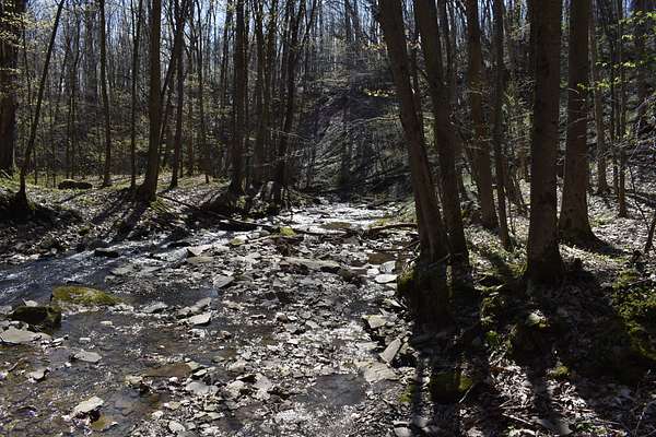 19.5 Acres of Recreational Land for Sale in Cherry Creek, New York
