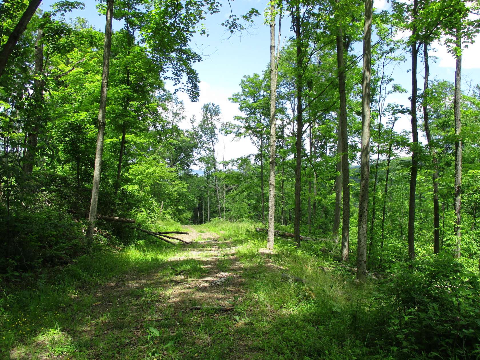 97.1 Acres of Recreational & Residential Land for Sale in Bradford, Pennsylvania