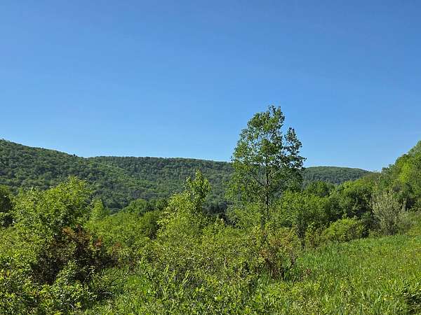 130 Acres of Recreational Land for Sale in Cuba, New York