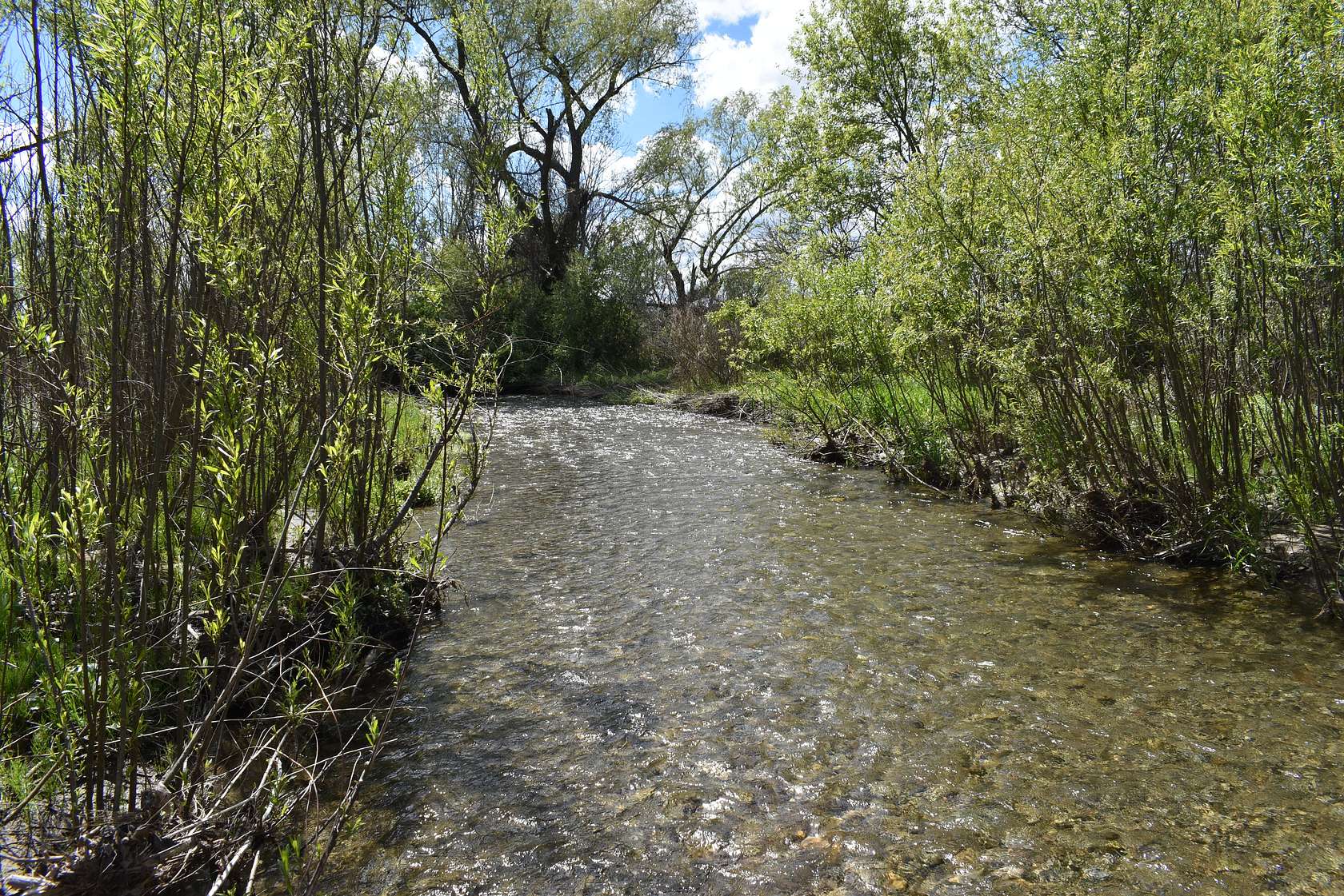 100 Acres of Recreational Land for Sale in Frewsburg, New York