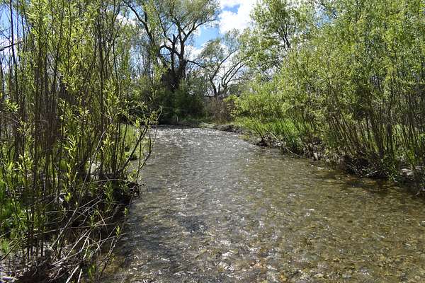 100 Acres of Recreational Land for Sale in Frewsburg, New York