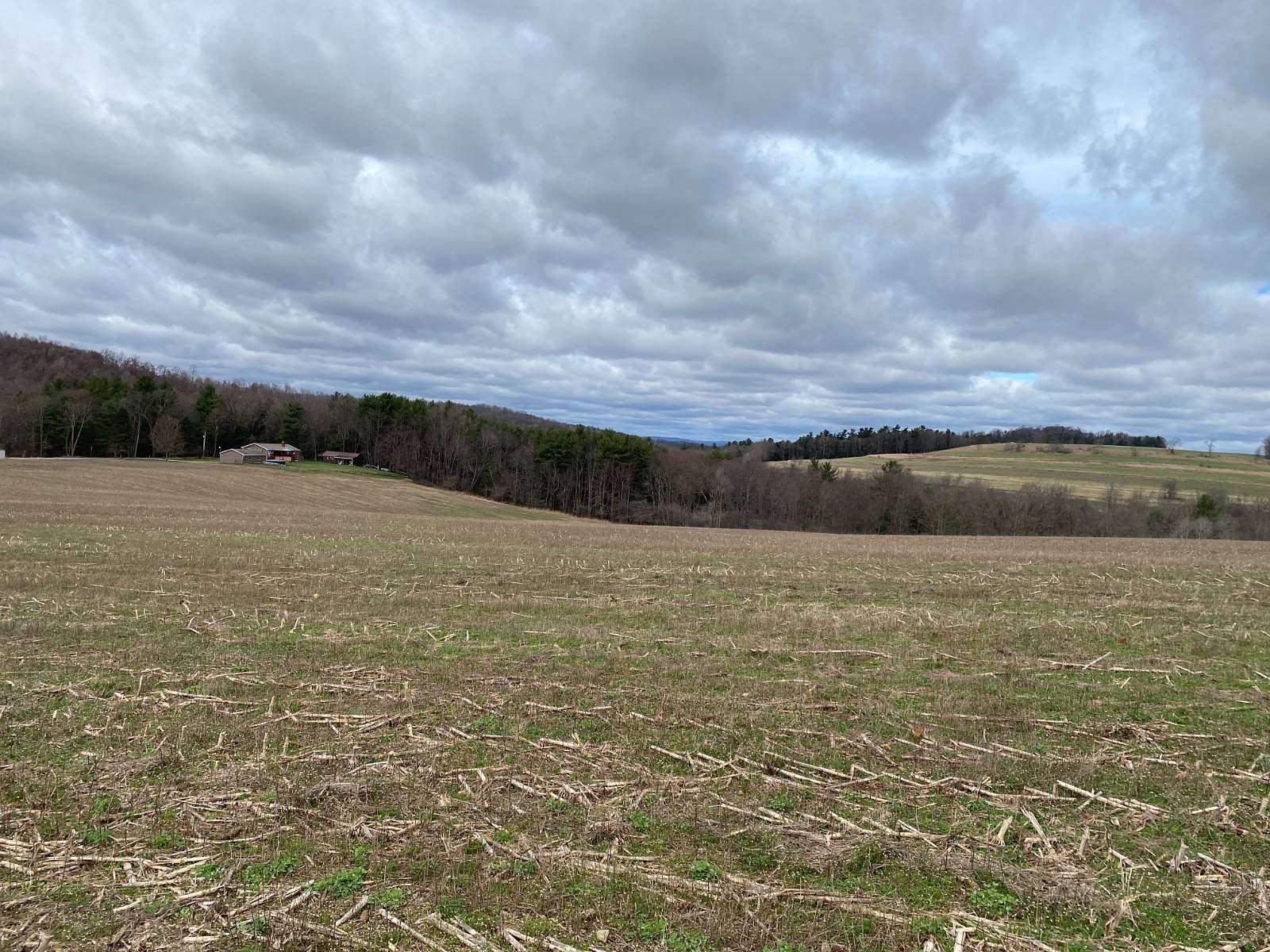 18.2 Acres of Land for Sale in Cherry Tree, Pennsylvania