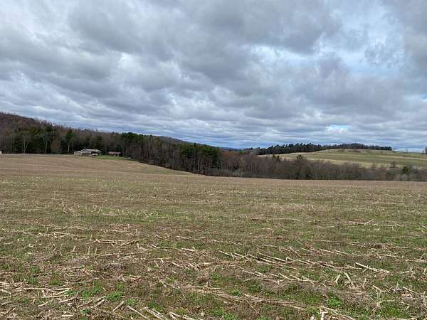18.2 Acres of Land for Sale in Cherry Tree, Pennsylvania