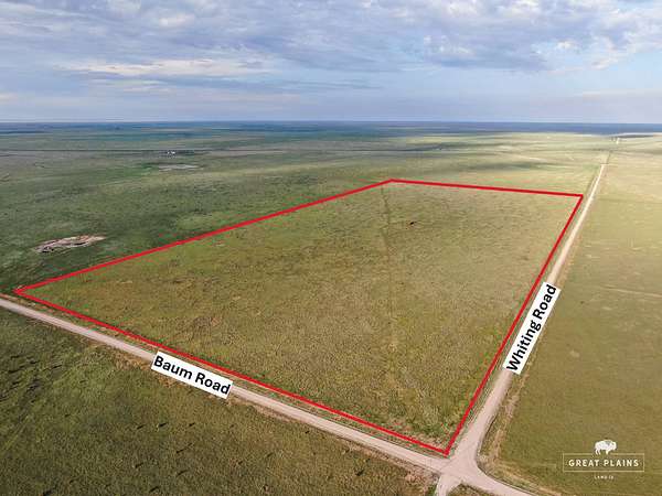 80 Acres of Land for Sale in Roy, New Mexico
