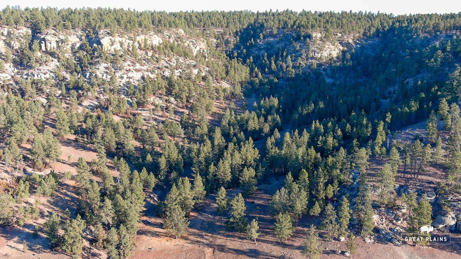 40 Acres of Land for Sale in Roundup, Montana