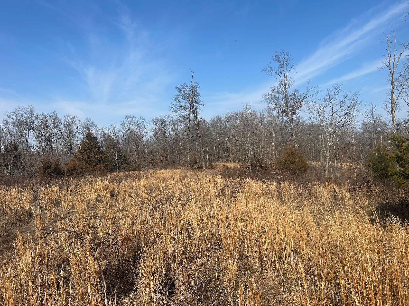 32 Acres of Recreational & Residential Land for Sale in Salem, Missouri