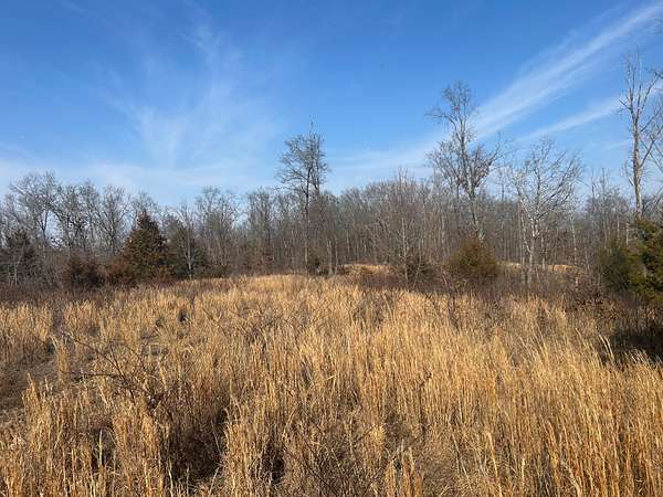 32 Acres of Recreational & Residential Land for Sale in Salem, Missouri