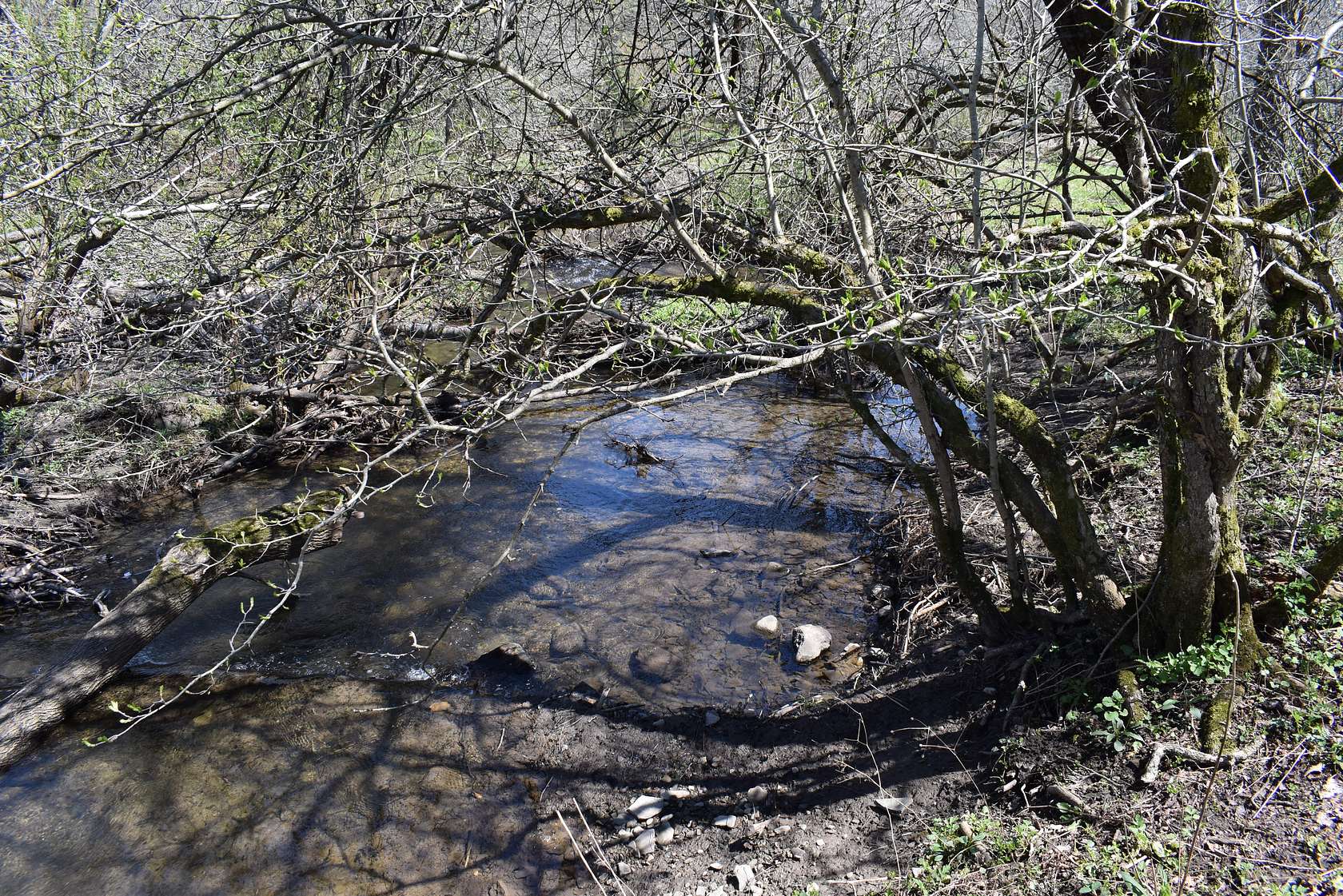 37.6 Acres of Land for Sale in Cherry Creek, New York