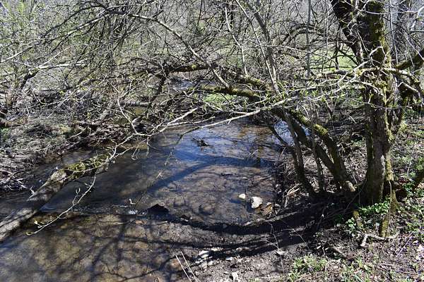 37.6 Acres of Land for Sale in Cherry Creek, New York