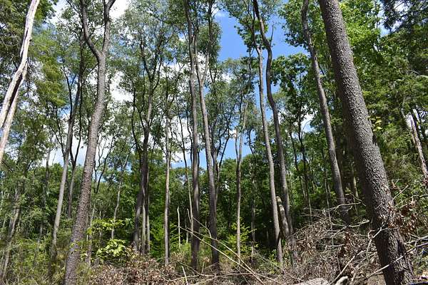46.4 Acres of Recreational Land for Sale in Titusville, Pennsylvania