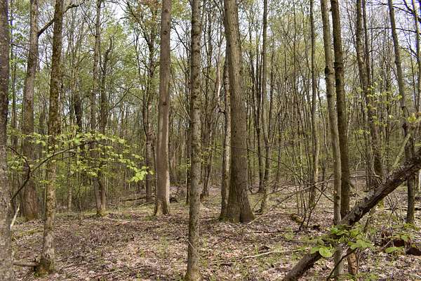 92.9 Acres of Recreational Land for Sale in Pittsfield, Pennsylvania