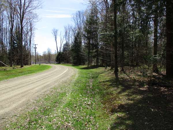 45.3 Acres of Recreational & Residential Land for Sale in Cyclone, Pennsylvania