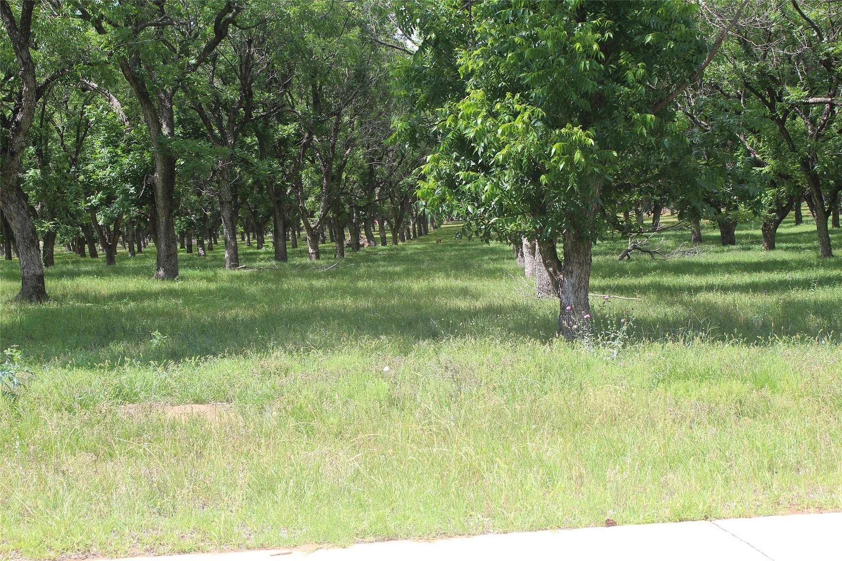 3 Acres of Residential Land for Sale in Granbury, Texas