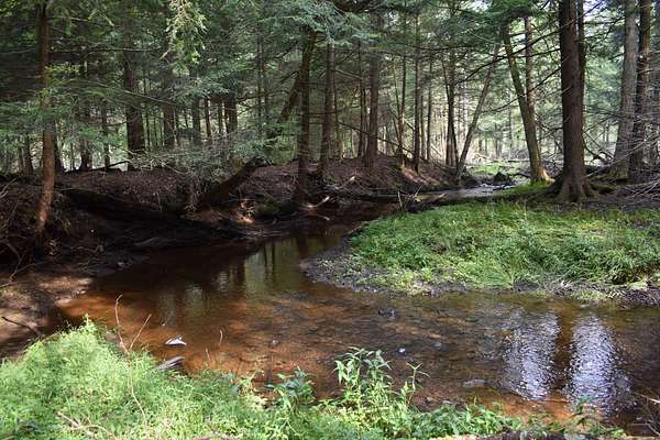 269 Acres of Recreational Land for Sale in Spartansburg, Pennsylvania