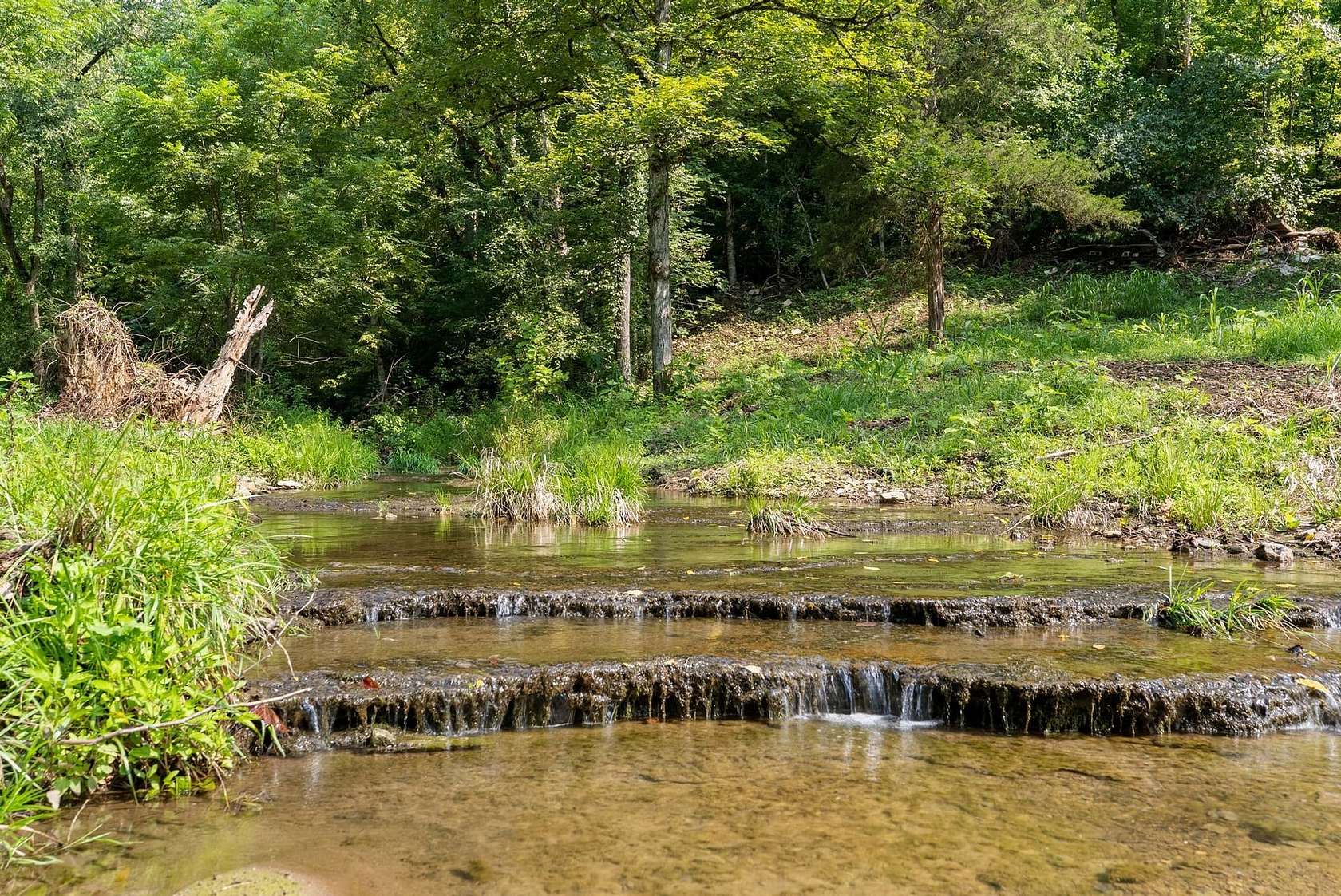 100 Acres of Land for Sale in Celina, Tennessee