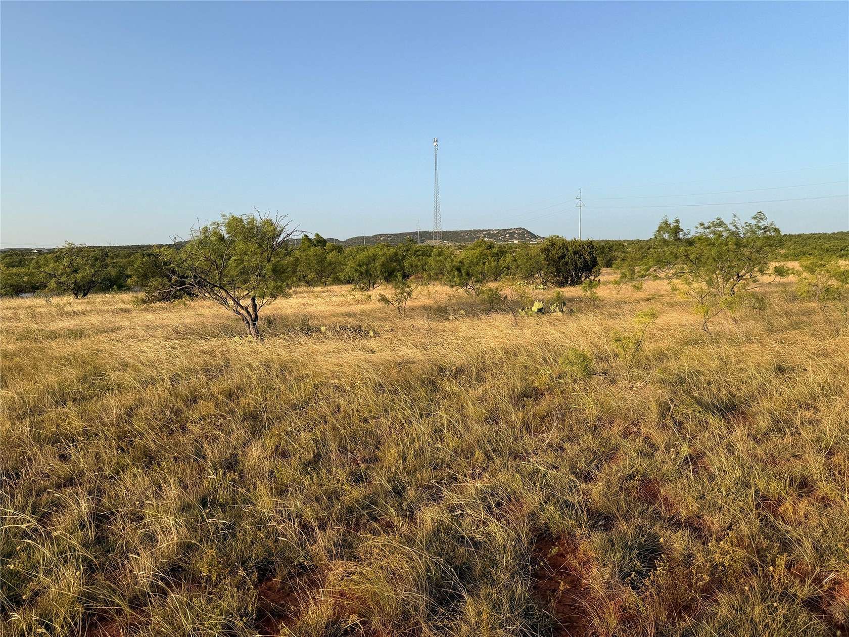 14 Acres of Land for Sale in Ovalo, Texas