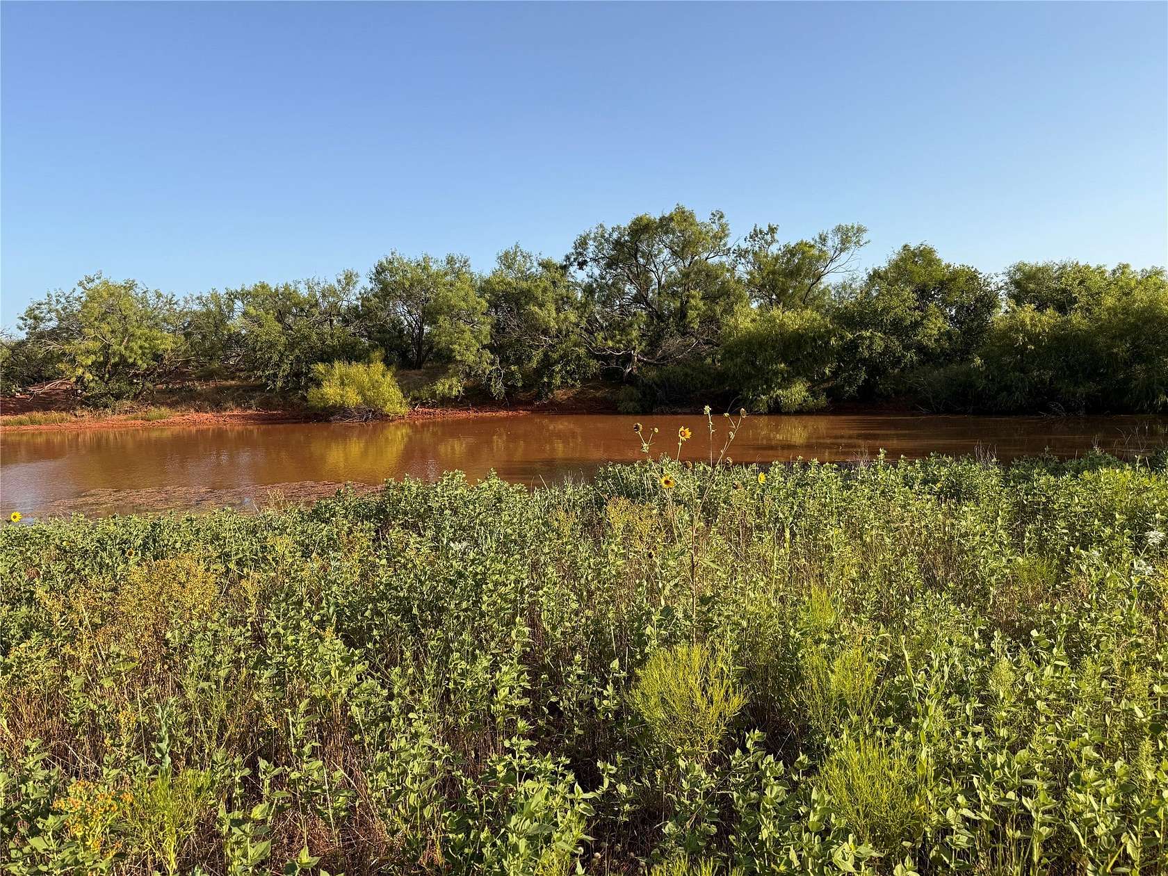 99 Acres of Agricultural & Residential Land for Sale in Ovalo, Texas