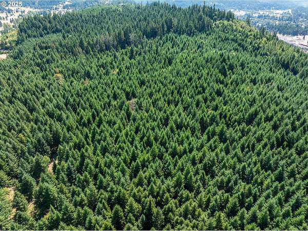 162 Acres of Land for Sale in Oakridge, Oregon