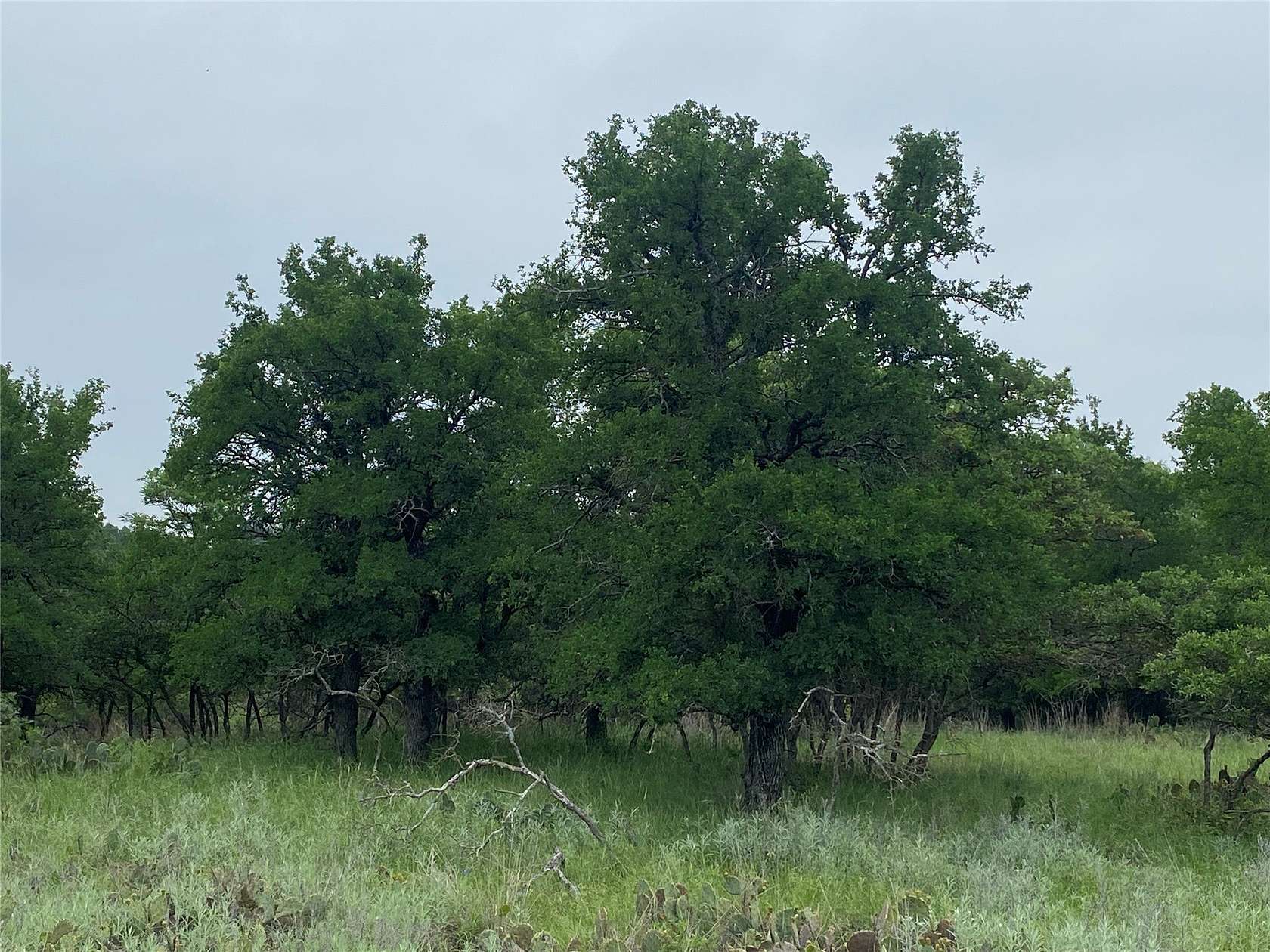 1.33 Acres of Land for Sale in May, Texas
