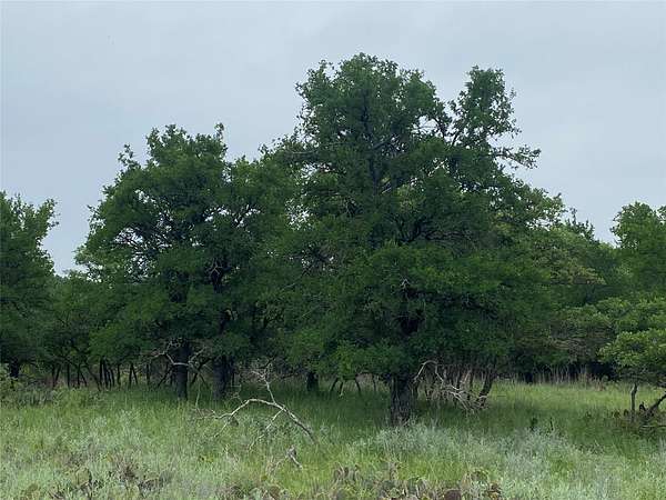 1.33 Acres of Land for Sale in May, Texas