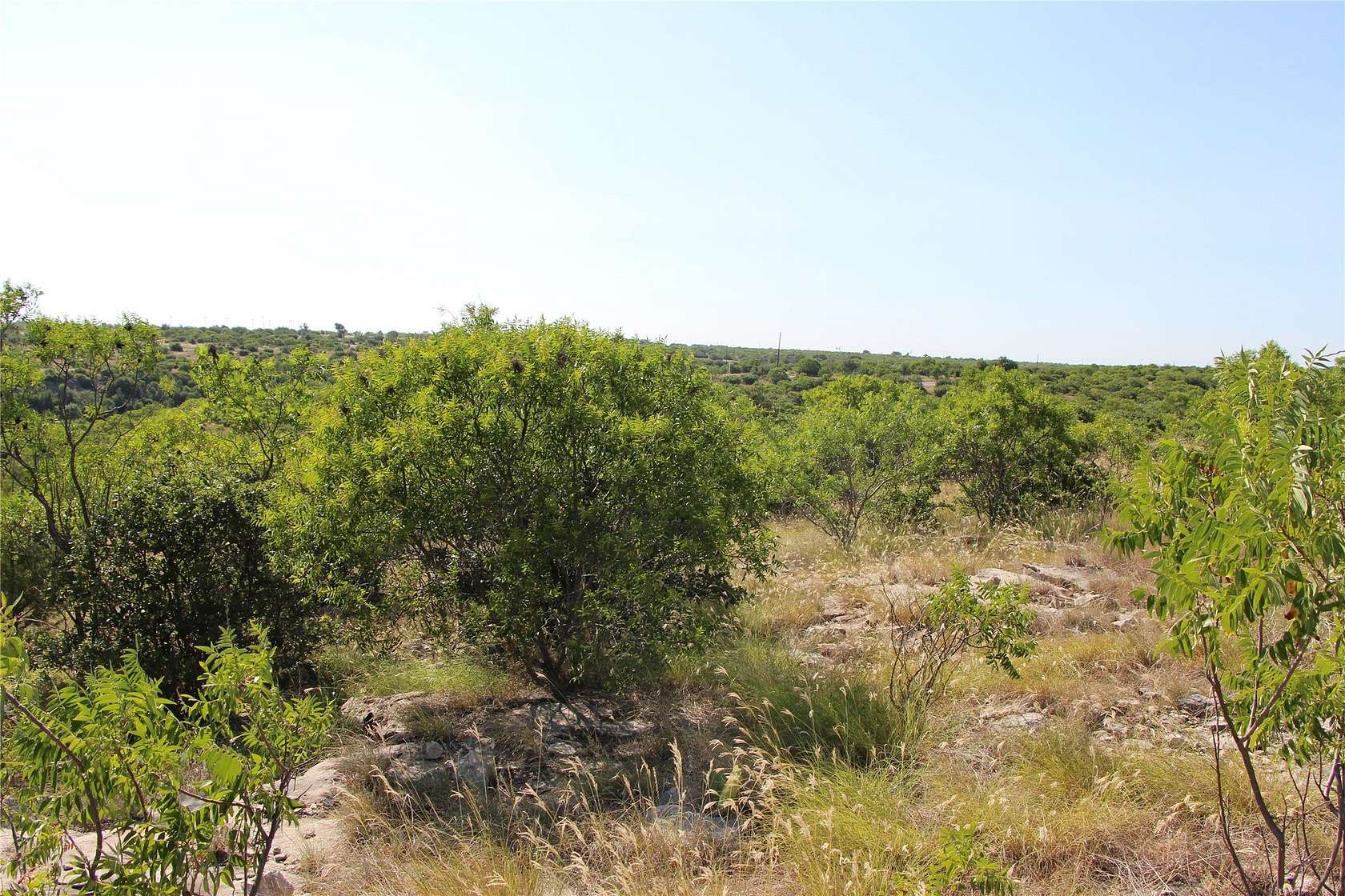 0.1 Acres of Residential Land for Sale in Graford, Texas