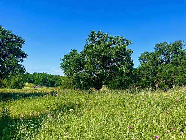 2 Acres of Residential Land for Sale in Poolville, Texas