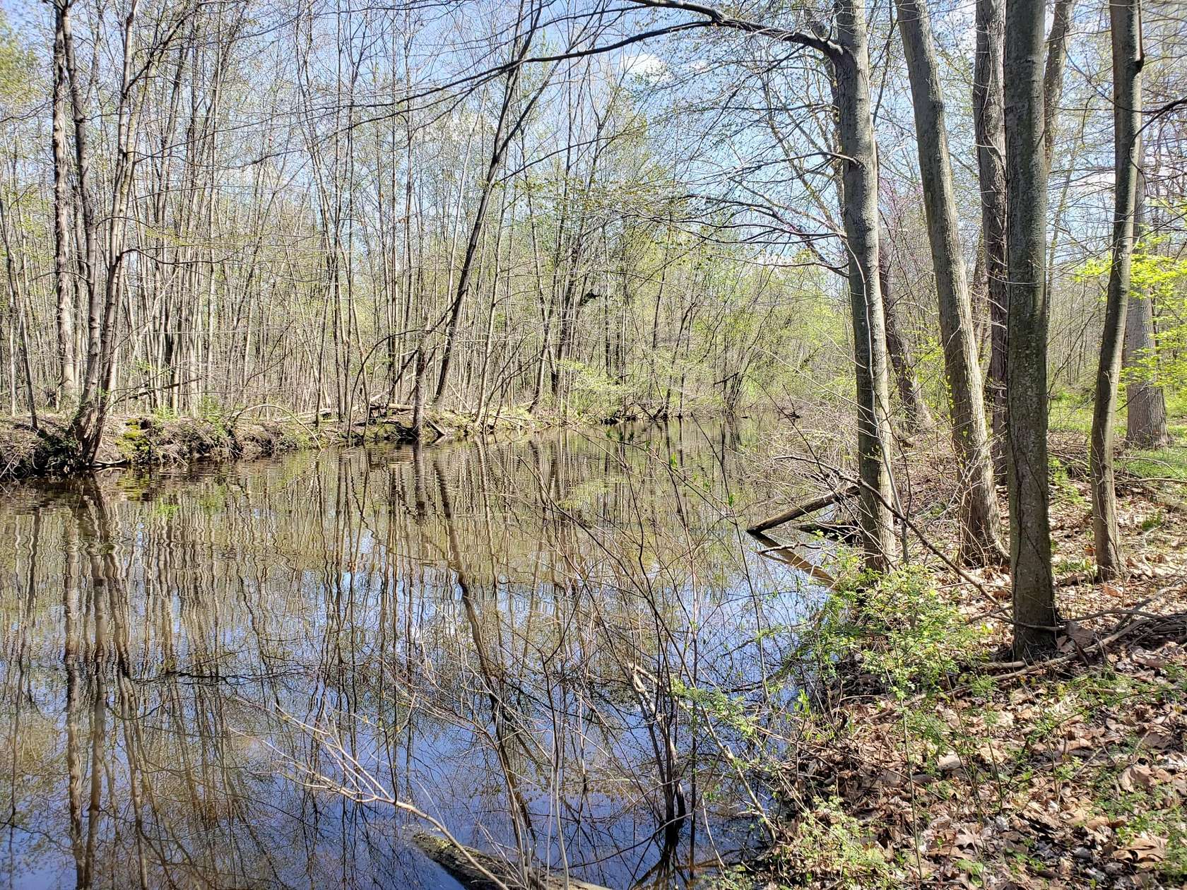 1.27 Acres of Land for Sale in Watervliet, Michigan