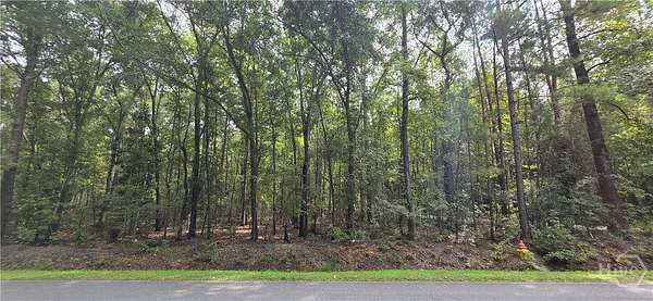 1 Acre of Land for Sale in Guyton, Georgia