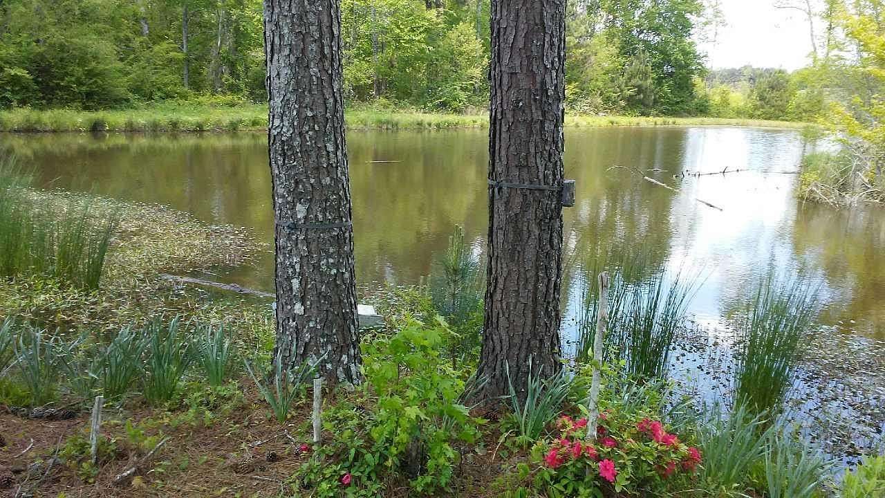 193 Acres of Recreational & Residential Land for Sale in Vinemont, Alabama
