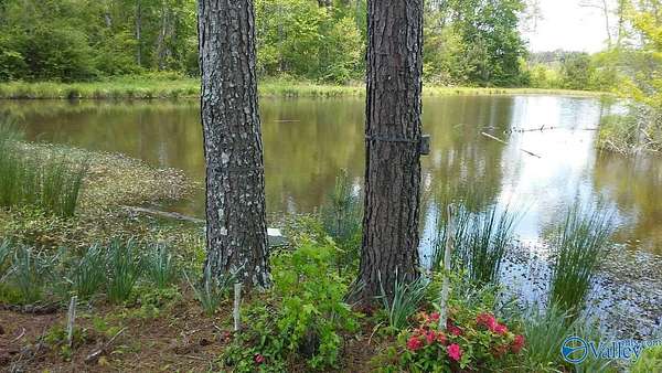 193 Acres of Recreational & Residential Land for Sale in Vinemont, Alabama