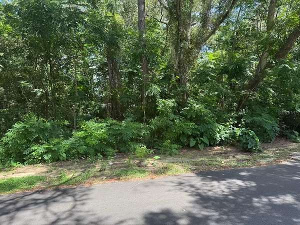 0.36 Acres of Residential Land for Sale in Gainesville, Florida