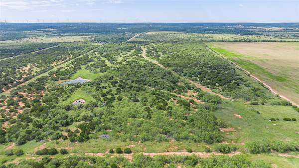 90 Acres of Land for Sale in Ovalo, Texas