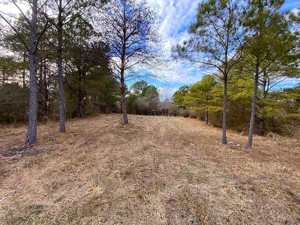 120 Acres of Recreational Land for Sale in Eldridge, Alabama