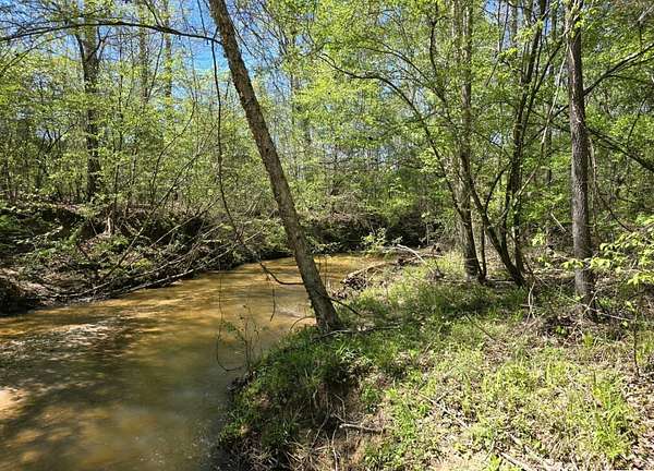 13.6 Acres of Land for Sale in Maplesville, Alabama