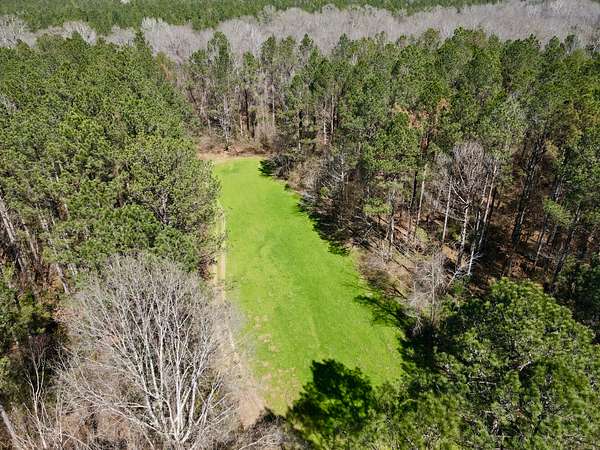 193 Acres of Recreational Land for Sale in Vredenburgh, Alabama