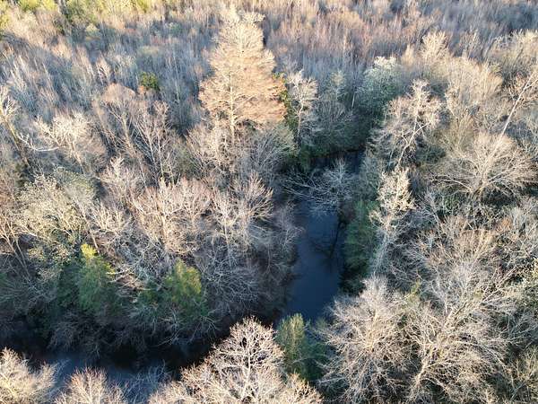 121 Acres of Recreational Land for Sale in Evergreen, Alabama