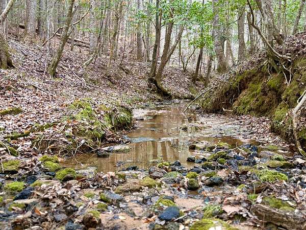 98 Acres of Recreational Land for Sale in Grove Hill, Alabama