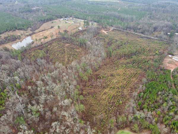 30 Acres of Recreational & Residential Land for Sale in Sweet Water, Alabama