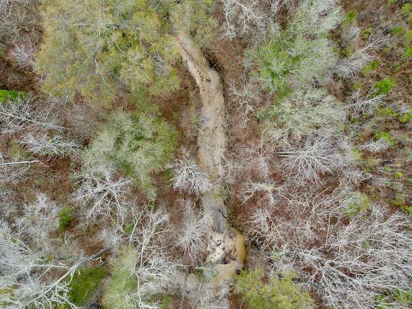 53 Acres of Recreational & Residential Land for Sale in Sweet Water, Alabama
