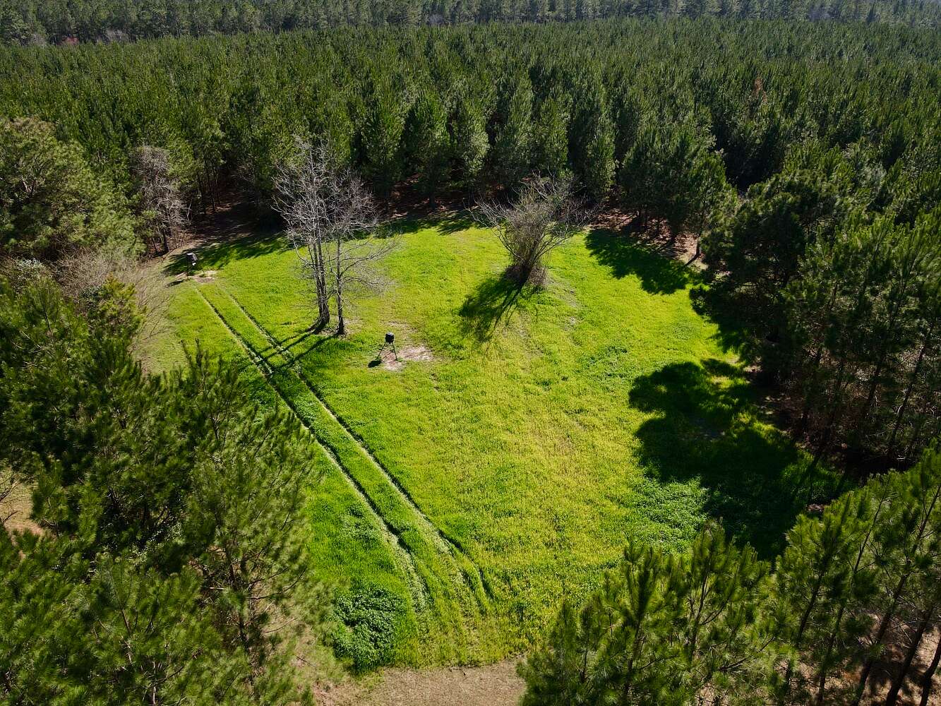 73 Acres of Land for Sale in Greenville, Alabama