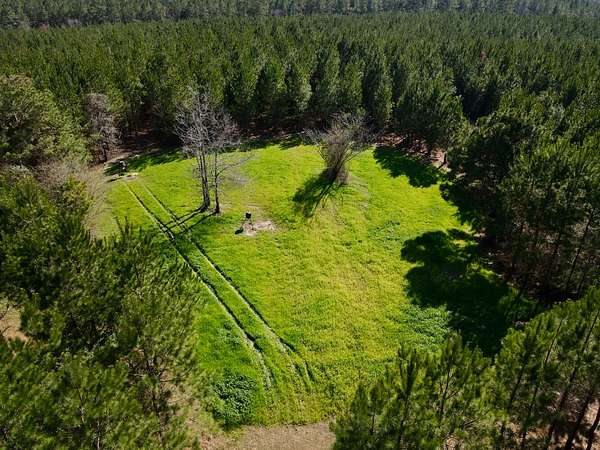 73 Acres of Land for Sale in Greenville, Alabama