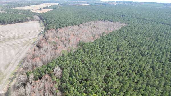 21.3 Acres of Recreational Land for Sale in Bath, North Carolina