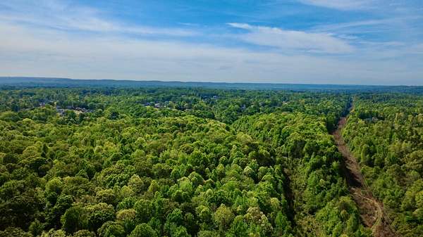 133 Acres of Recreational & Residential Land for Sale in Pleasant Grove, Alabama
