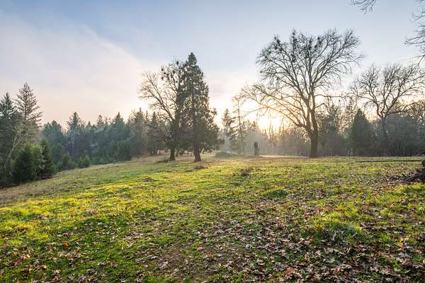 20 Acres of Recreational & Residential Land for Sale in Grants Pass, Oregon