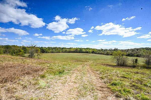 369 Acres of Land for Sale in West Plains, Missouri