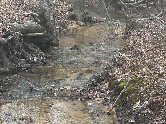 143 Acres of Recreational Land for Sale in Red Bay, Alabama